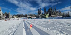 Officials and Coaching Courses
